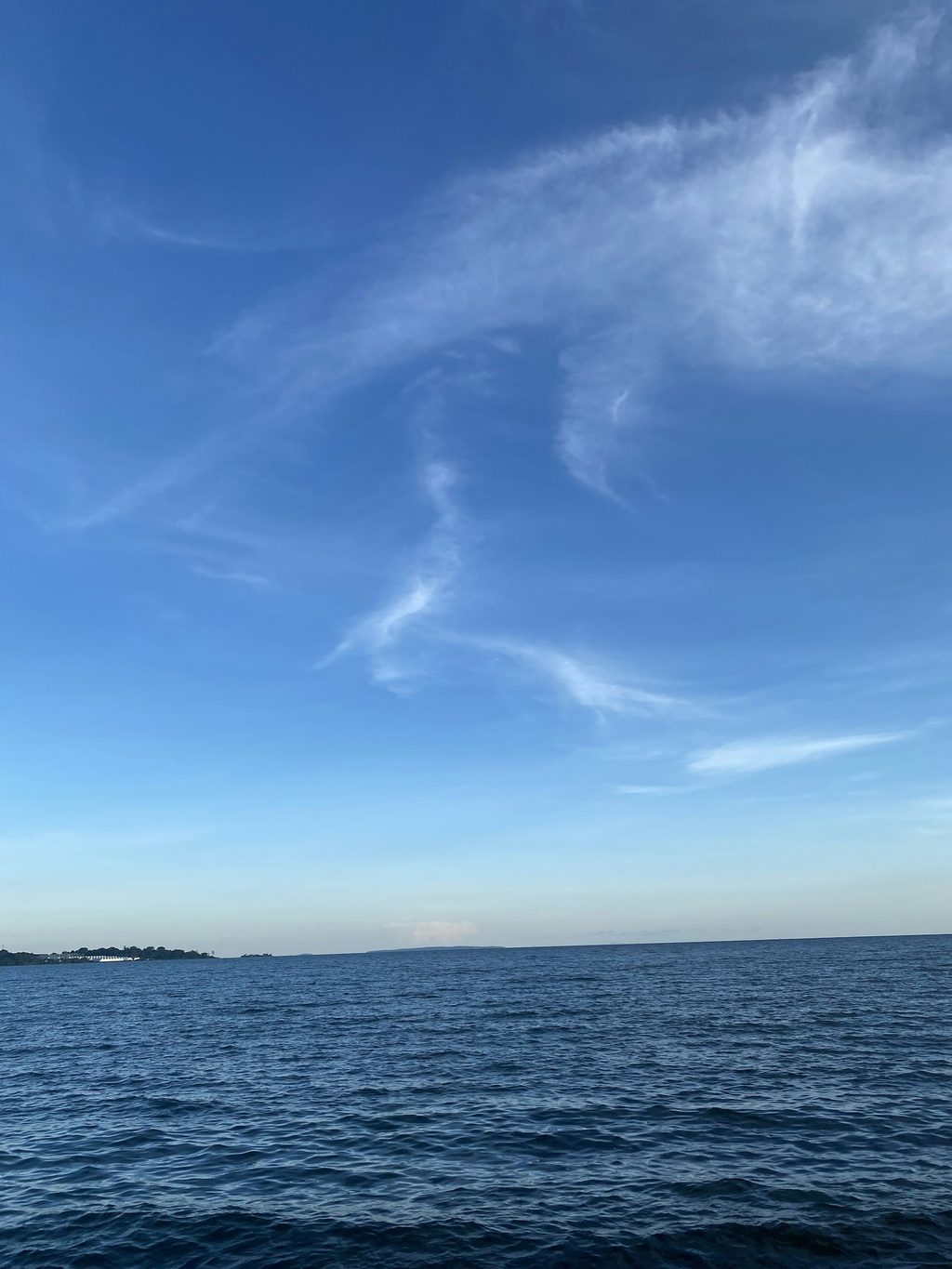 The Lake Victoria shore at Entebbe