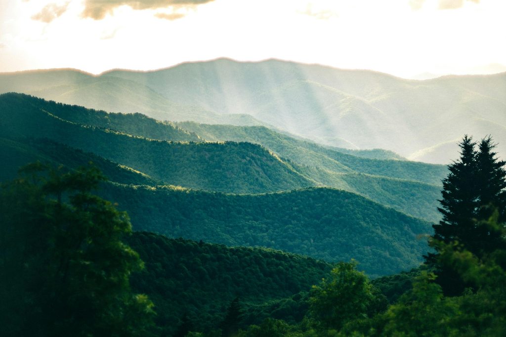 Misty forested ridges of the Rwenzori Mountains